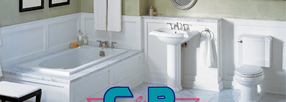 Licensed professional plumbers for your home renovation construction project
