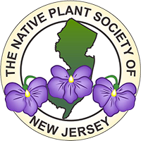 new jersey native plant society jersey shore chapter